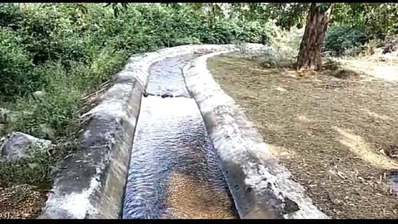 Jharkhand News: झुमरा पहाड़ इलाके की बदलेगी तस्वीर, अंबानाला जलस्रोत से बढ़ेगी खेतों की हरियाली Jharkhand News: झुमरा पहाड़ इलाके की बदलेगी तस्वीर, अंबानाला जलस्रोत से बढ़ेगी खेतों की हरियाली