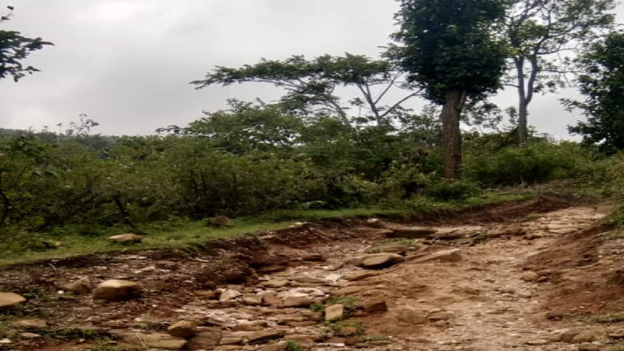 Jharkhand News: वन विभाग से मिला एनओसी, झुमरा पहाड़ में तेजी से होगा सड़क निर्माण का कार्य, ग्रामीणों में खुशी