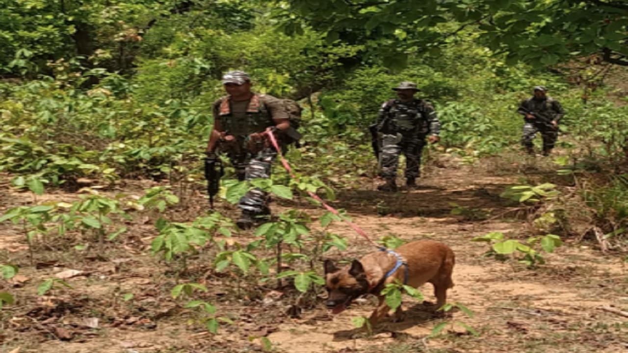 Jharkhand Naxal Bandh: नक्सलियों का झारखंड बंद आज, पुलिस अलर्ट, सर्च ऑपरेशन तेज