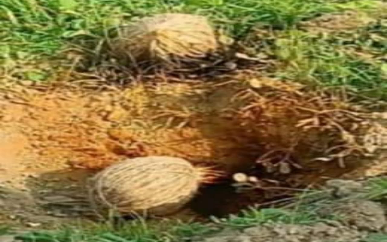 Breaking News: पश्चिम बंगाल के बीरभूम में बम विस्फोट, एक बच्चे की मौत