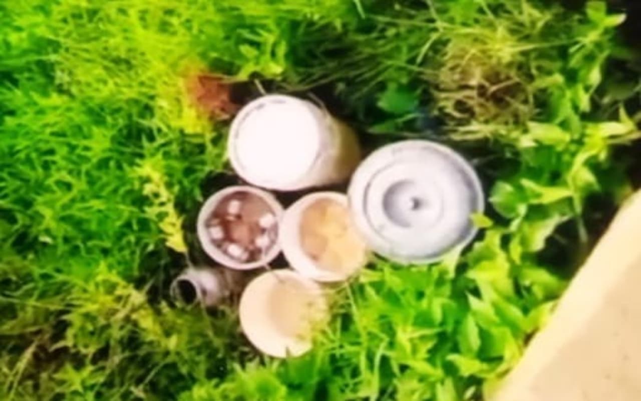 पश्चिम बंगाल : बीरभूम के माड़ग्राम में 90 बम पुलिस ने किया बरामद, इलाके में मचा हड़कंप