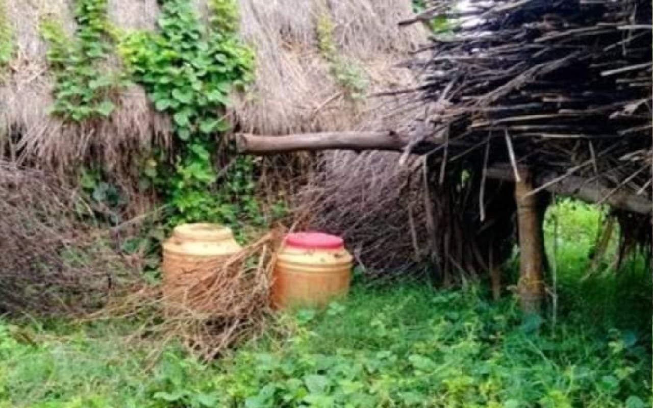 नानूर के बामुनिया गांव में बमों का जखीरा मिलने से इलाके में हड़कंप, पुलिस और बम निरोधक दस्ता पहुंचा