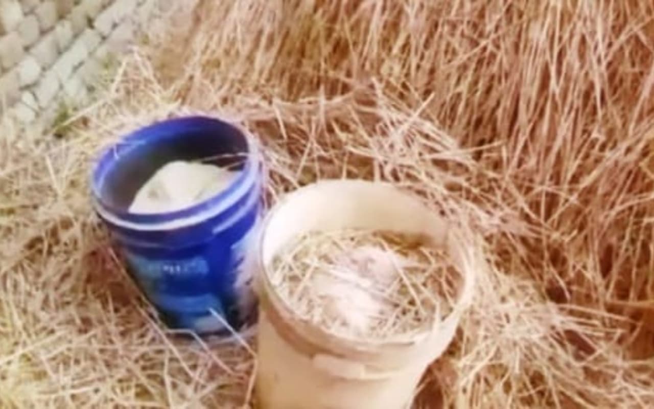 WB News: माड़ग्राम में दो ड्रमों में मिले 40 बम, इलाके में मचा हड़कंप, मामले की जांच में जुटी पुलिस