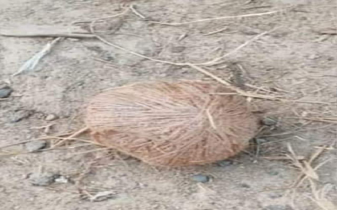 पश्चिम बंगाल : सैंथिया में इलाका दखल को केंद्र कर तृणमूल के दो गुटों में संघर्ष, 40 से अधिक बम बरामद