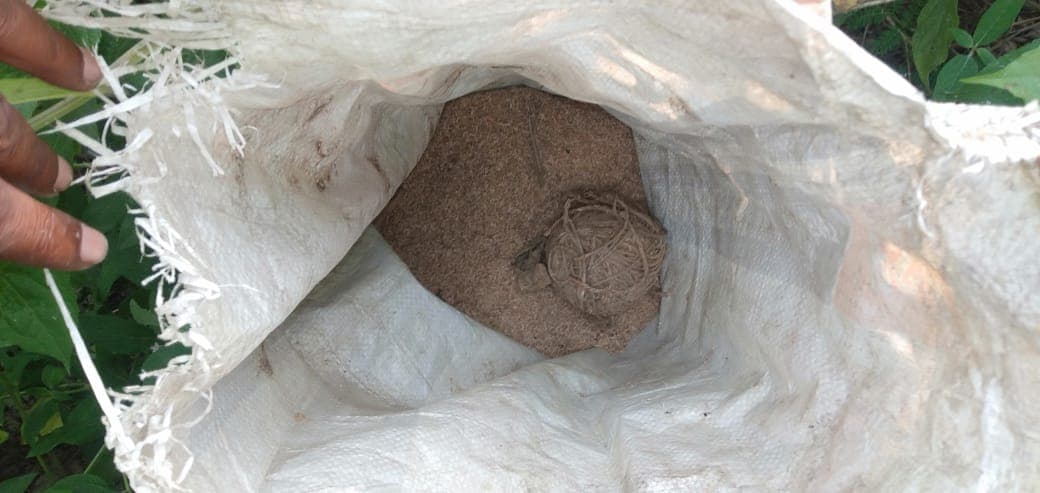 Bengal Election 2021: चौथे चरण के चुनाव के पहले कैंनिंग पूर्व के बूथ के निकट बड़ी संख्या में बम बरामद