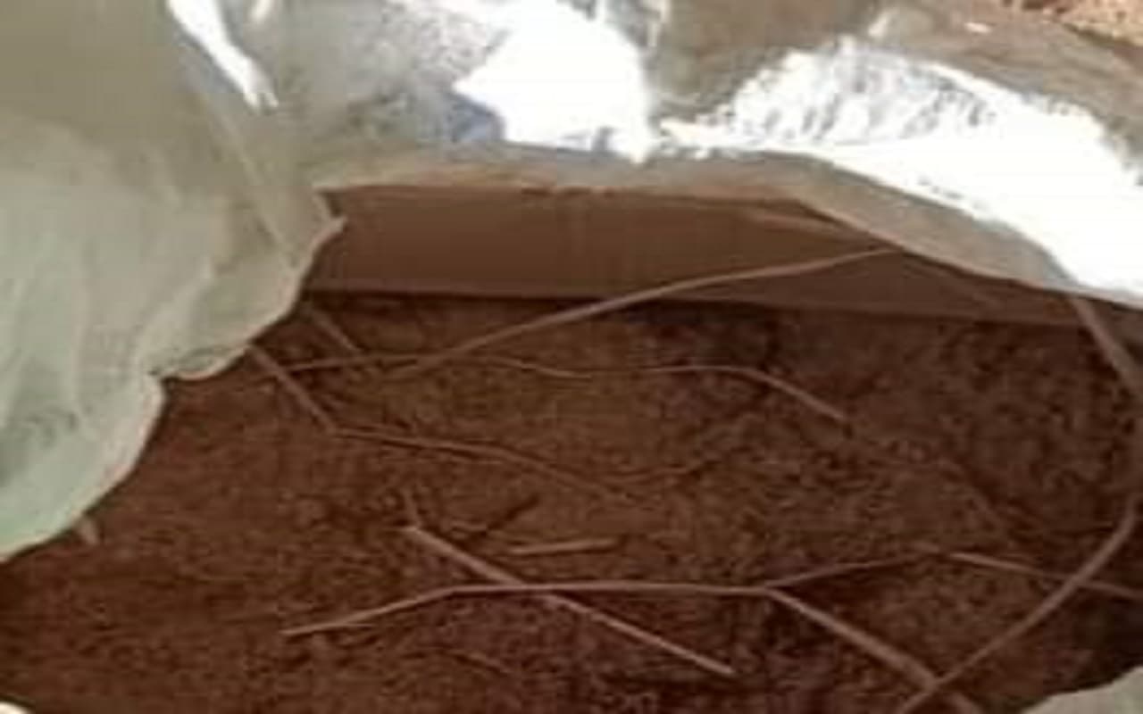 West Bengal News : बर्दवान में तृणमूल कांग्रेस के पार्टी ऑफिस में बम मिलने से दहशत, पूछताछ में जुटी पुलिस