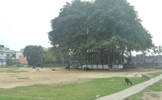 लॉकडाउन/सोशल डिस्टेंसिंग के बीच मना ईद, घरों में अदा किये शुकराना नमाज लॉकडाउन/सोशल डिस्टेंसिंग के बीच मना ईद, घरों में अदा किये शुकराना नमाज