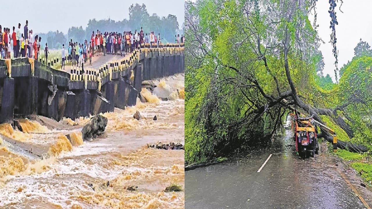 PHOTOS: बिहार में बारिश के बीच तबाही का देखिए मंजर, पुल-सड़क ध्वस्त, विशालकाय पेड़ तक उखड़कर गिरे..