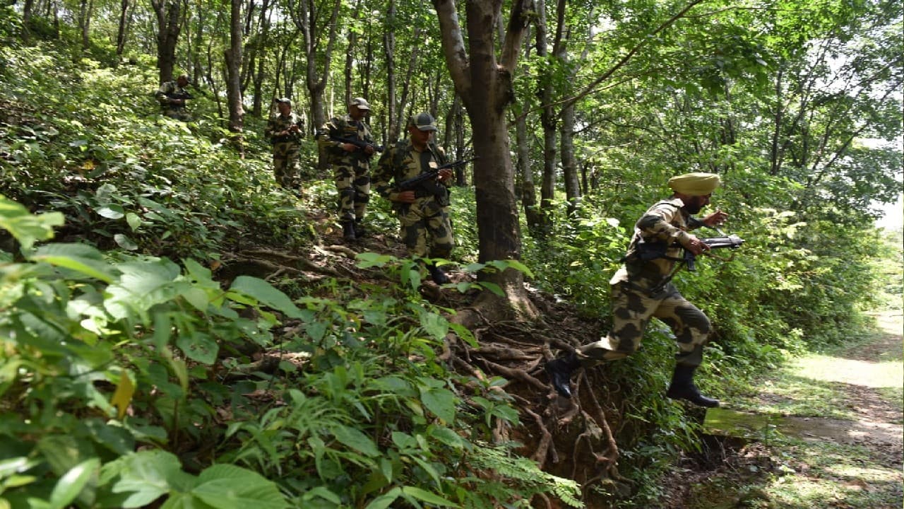 Indo Bangladesh Border: बीएसएफ ने 20.5 Kg गांजा के साथ 29 मवेशी के सिर बरामद किए, दो तस्कर गिरफ्तार