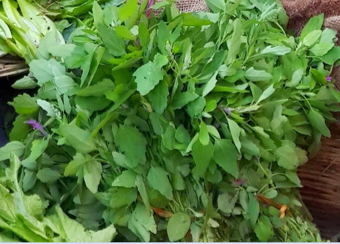सर्दियों में बथुआ साग खाने के हैं कई फायदे, जानें इसके सेहत भरे गुण