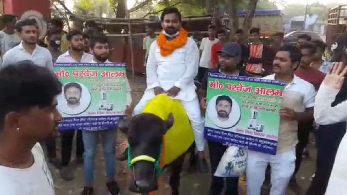 Bihar Election Update 2020 : भैंस पर चढ़कर उम्मीदवार कर रहा था प्रचार, पुलिस आयी और गिरफ्तार कर ले गयी