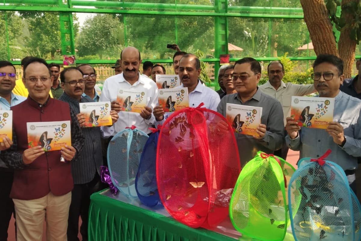 झारखंड: ओरमांझी में बने देश के सबसे बड़े तितली पार्क का उद्घाटन, देख सकेंगे 80 से अधिक प्रजातियों की तितलियां