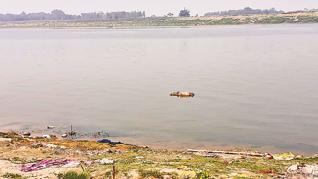 Buxar News: गंगा में रोक के बाद भी बहाया जा रहा शव, कोरोनाकाल में विवाद के बाद लगा था प्रशासनिक पहरा