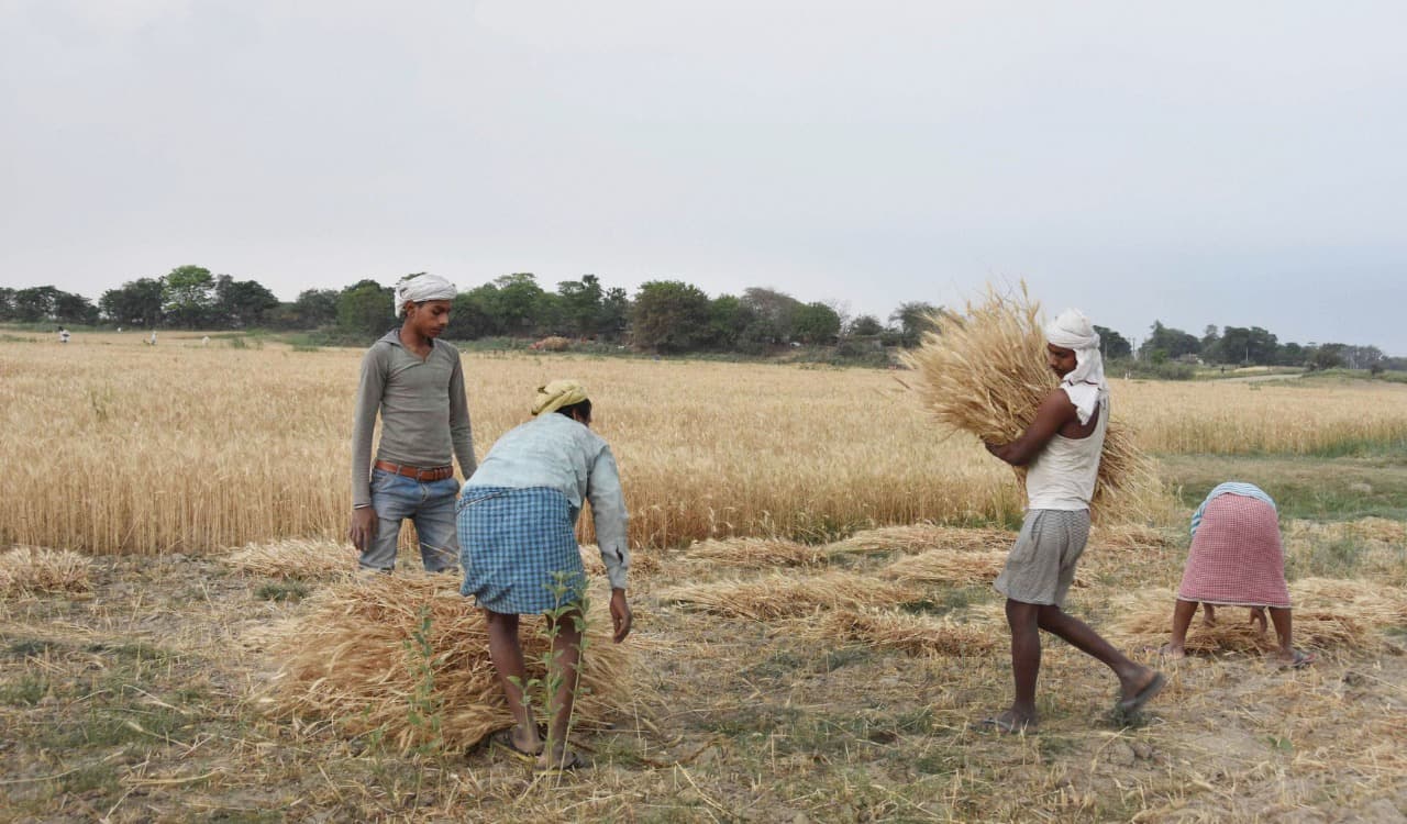 जुलाई में बेरोजगारी दर घटकर 6.80 फीसदी हुई, जानिए क्यों शहरों के मुकाबले गांवों में हालात हैं बेहतर