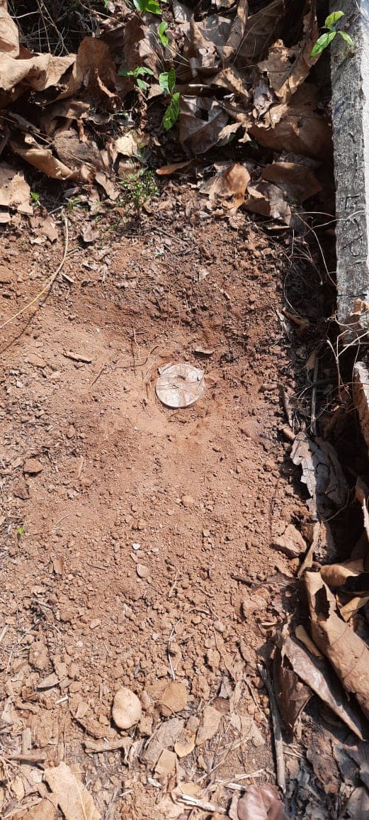 Jharkhand Naxal News : सुरक्षा बलों को बम से उड़ाने की साजिश नाकाम, झारखंड के सारंडा से CRPF  ने 10 किलो का IED बम किया बरामद, नक्सलियों के मंसूबों पर फेरा पानी