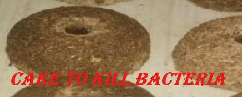 आ गया वैक्टीरिया मारने वाला केक, जानें कैसे करेगा काम