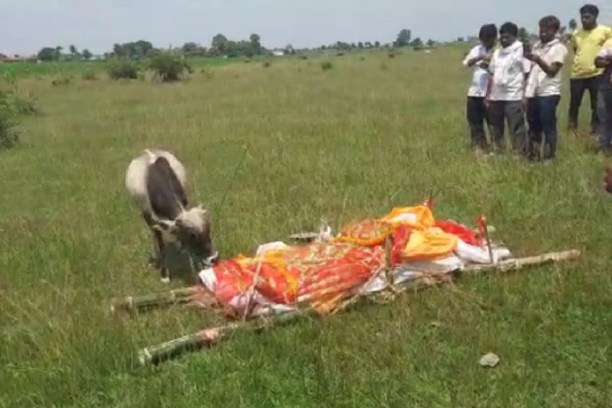 Jharkhand News: ऐसा प्यार कहां! मालिक के निधन पर गाय के बछड़े ने दी मुखाग्नि, पढ़ें पूरी कहानी