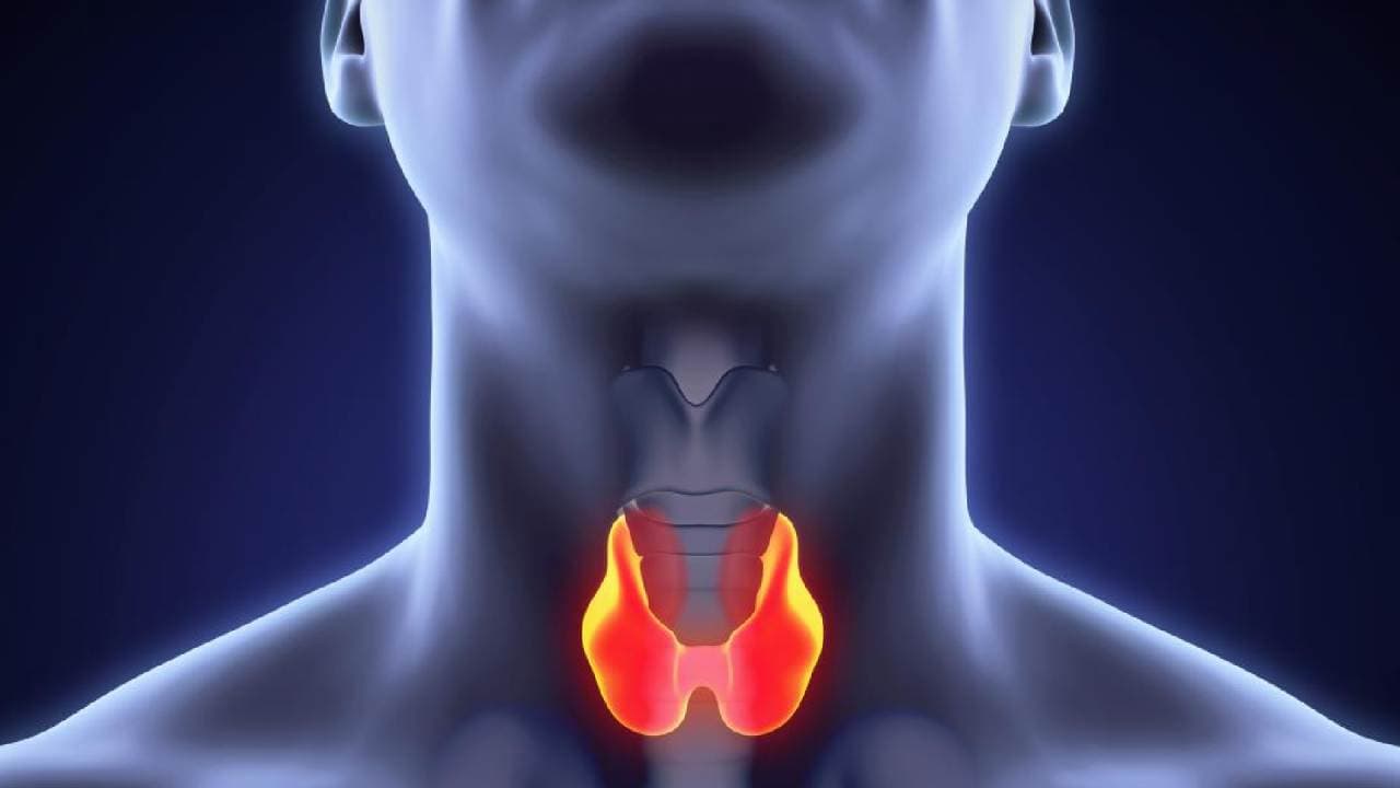 Thyroid Cancer, Endocrine Cancer परिवार का कम खतरनाक कैंसर, जानें डॉक्टर की राय