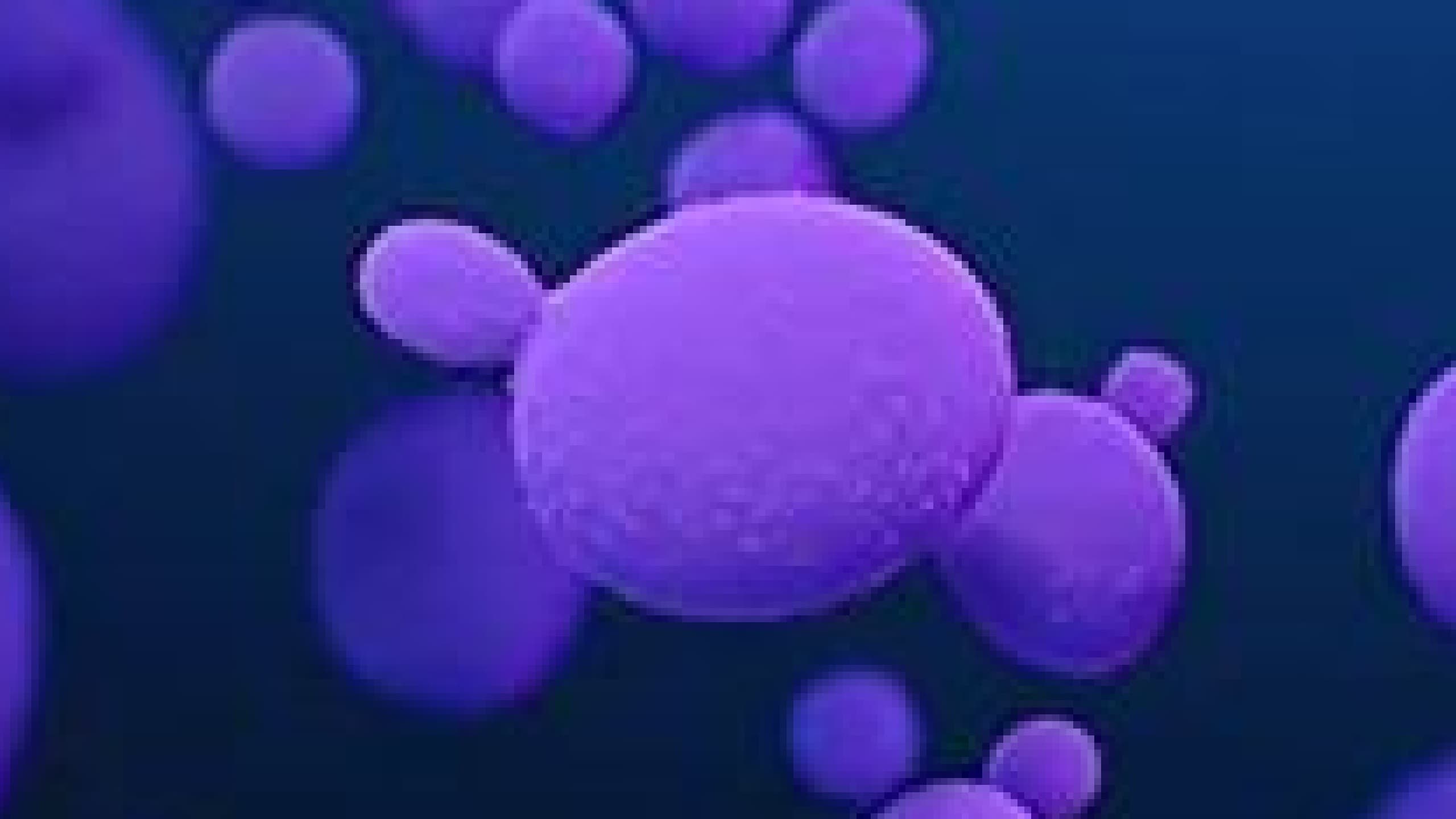 भारत में मिला नया सुपरबग, खतरनाक साबित हो सकता है वायरस वैज्ञानिकों ने दी चेतावनी