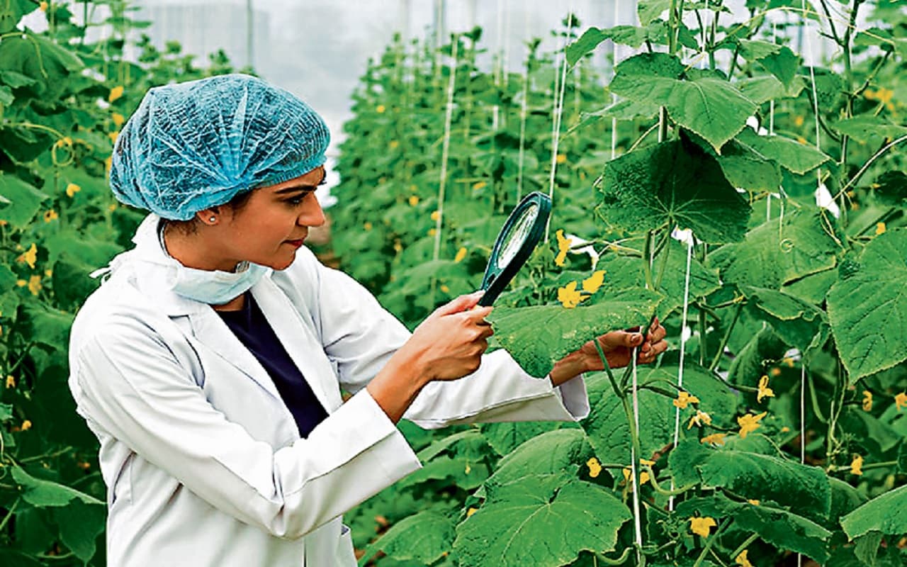 कृषि के क्षेत्र में एआई निभाएगा महत्वपूर्ण भूमिका, जानें कैसे बढ़ा सकते हैं उपज और मुनाफा