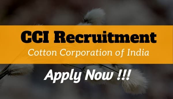 Sarkari Naukri, CCI Limited Recruitment 2021: ट्रेड अप्रेंटिस के पदों के लिए कॉटन कॉरपोरेशन में करें अप्लाई, जॉब से जुड़ी डिटेल देखें यहां