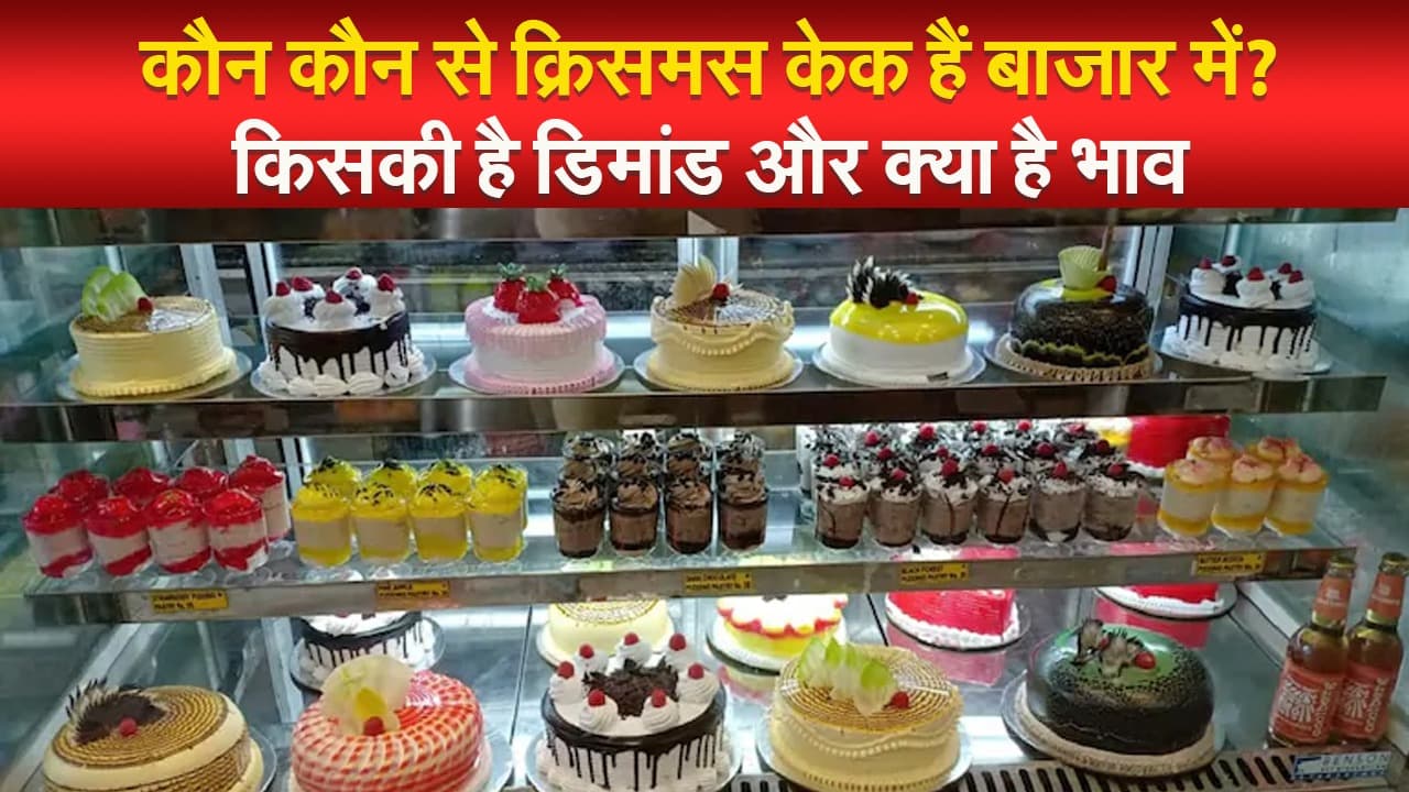 कौन कौन से क्रिसमस केक हैं बाजार में? किसकी है डिमांड और क्या है भाव