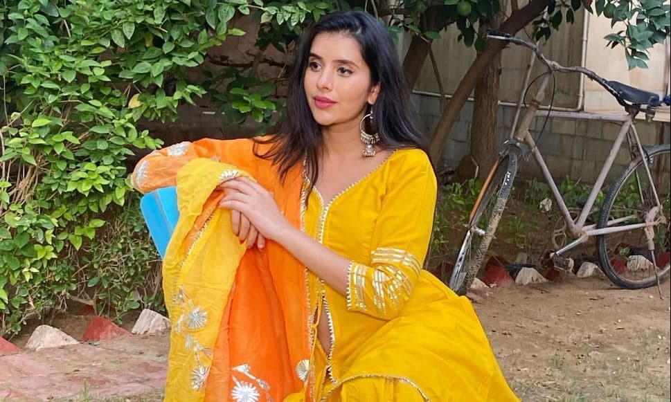 राजीव सेन के आरोपों पर चारु असोपा ने दी कड़ी प्रतिक्रिया, इस वजह से करण मेहरा से मांगी माफी