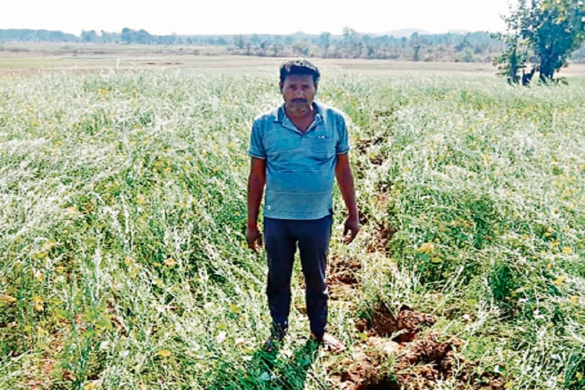 चतरा में जगली का हाथियों का आतंक, एक घर व चहारदीवारी को किया क्षतिग्रस्त, फसलों को रौंदा