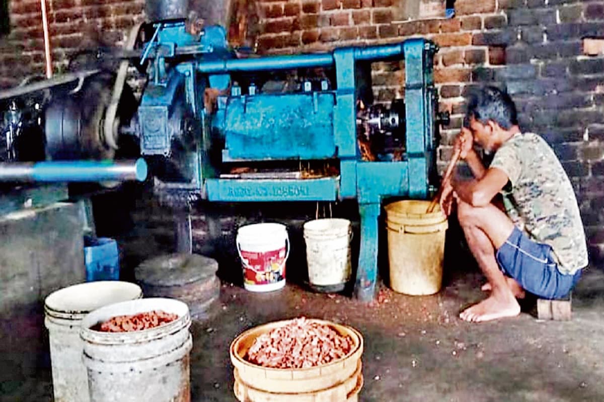 चतरा के किसानों की जीवनशैली में आया डोरी का तेल, महंगाई ने बनाया आत्मनिर्भर