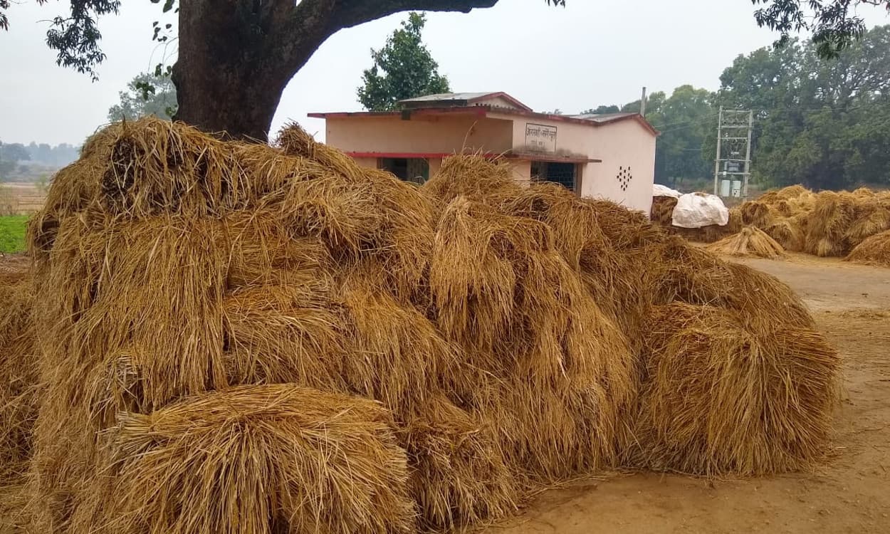 धान खरीद मामले में झारखंड की स्थिति खराब, 30 फीसदी से भी कम हुई धान की खरीदारी