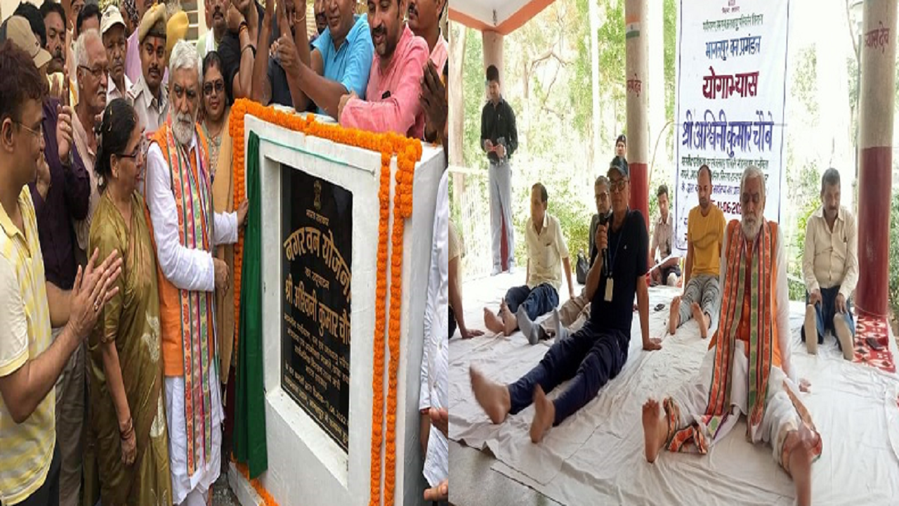 मंत्री अश्विनी चौबे ने भागलपुर में नगर वन योजना का किया शुभारंभ, स्थानीय लोगों के साथ योगाभ्यास भी किया