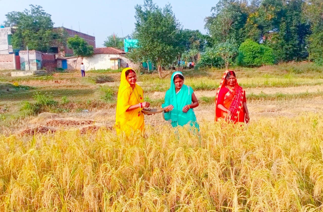Chhath Puja 2021 : झारखंड का एक ऐसा गांव, जहां छठ में पैसरा धान से ही बनाया जाता है खरना का प्रसाद Chhath Puja 2021 : झारखंड का एक ऐसा गांव, जहां छठ में पैसरा धान से ही बनाया जाता है खरना का प्रसाद