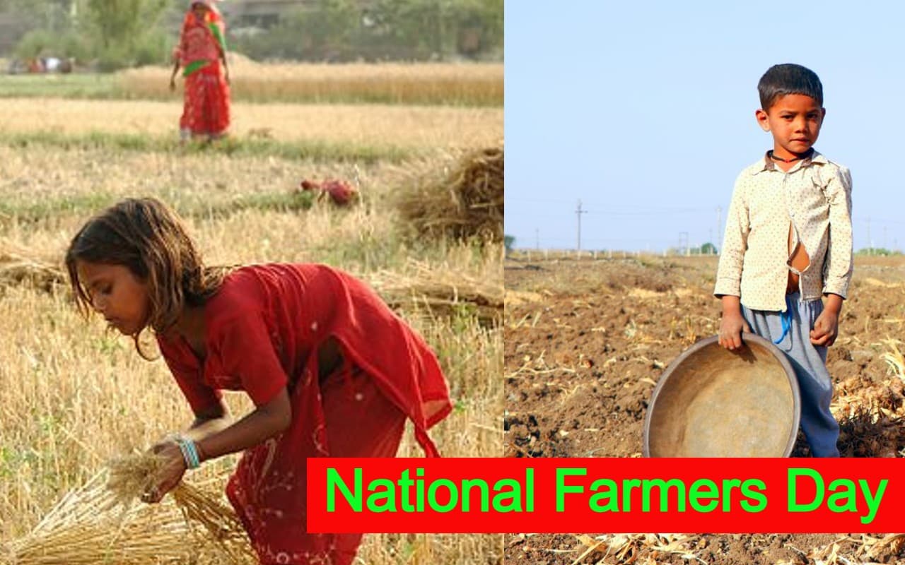 Kisan Diwas Special: भारत में 47.7 फीसदी बच्चे खेतों में करते हैं काम, अन्य देशों का ऐसा है हाल