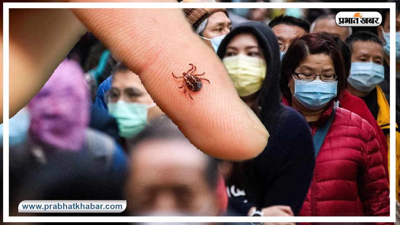 चीन में मकड़ी के कारण फैली Corona जैसी खतरनाक बीमारी, 7 मरे, 60 से ज्यादा संक्रमित, कहीं आपमें भी तो नहीं ये लक्षण