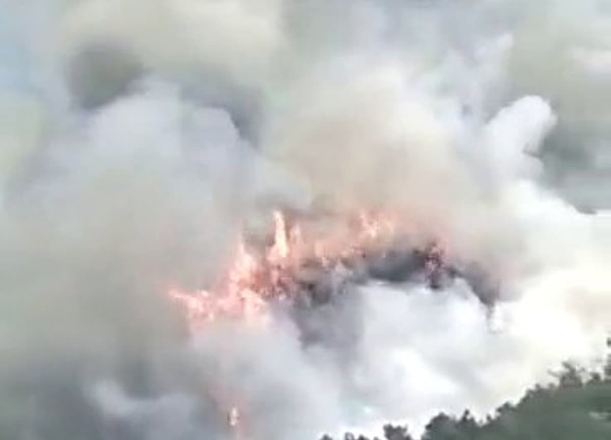 China Plane Crash: कोई नहीं बचा जिंदा ? चीन का सबसे बड़ा विमान हादसा, जानें ताजा अपडेट