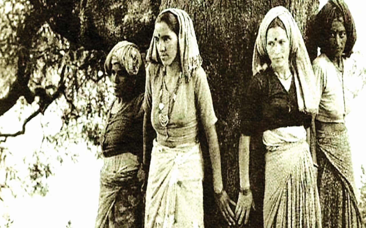 Chipko Movement: चिपको आंदोलन के 50 साल पूरे, जानें कैसे हुई इसकी शुरुआत और कहां-कहां पड़ा प्रभाव