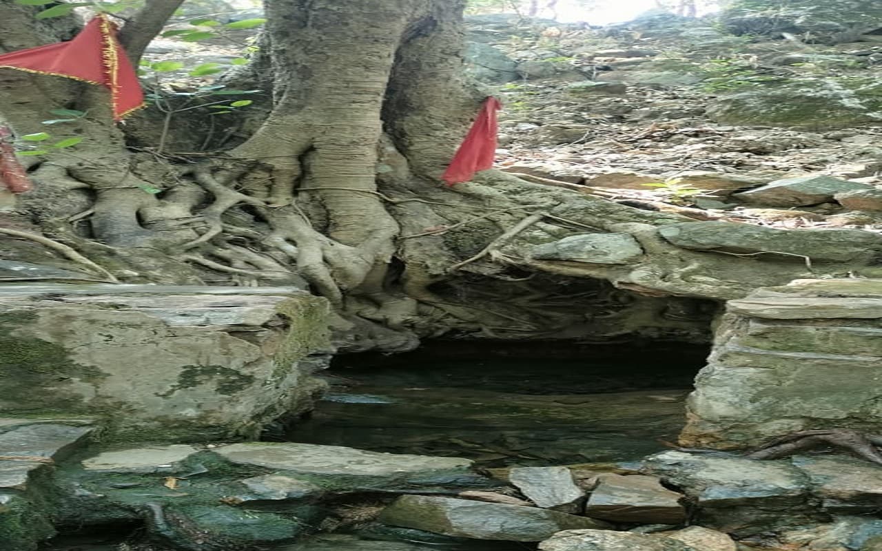 झारखंड: गंगा दशहरा के दिन 30 मई को मनेगा देवनद दामोदर महोत्सव, तीन दर्जन जगहों पर होगा आयोजन