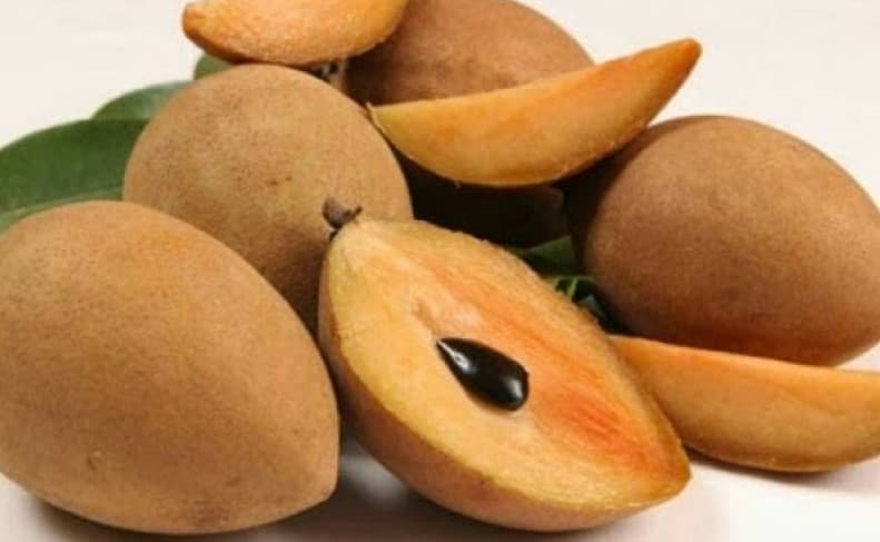 Chikoo Benefits: चीकू में छिपे हैं औषधीय गुण, स्वाद ही नहीं बीमारियों में भी है लाभकारी, जानें फायदे