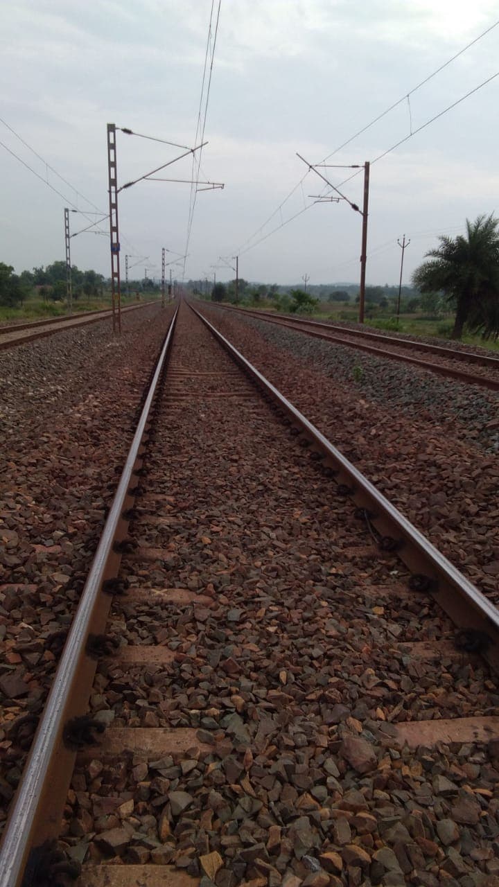 Jharkhand News : हाथी के बाद अब रेलवे इंजीनियर की मौत, सारंडा के एलीफैंट जोन में ट्रेन से कितने हाथियों ने गंवायी जान ? पढ़िए ये रिपोर्ट