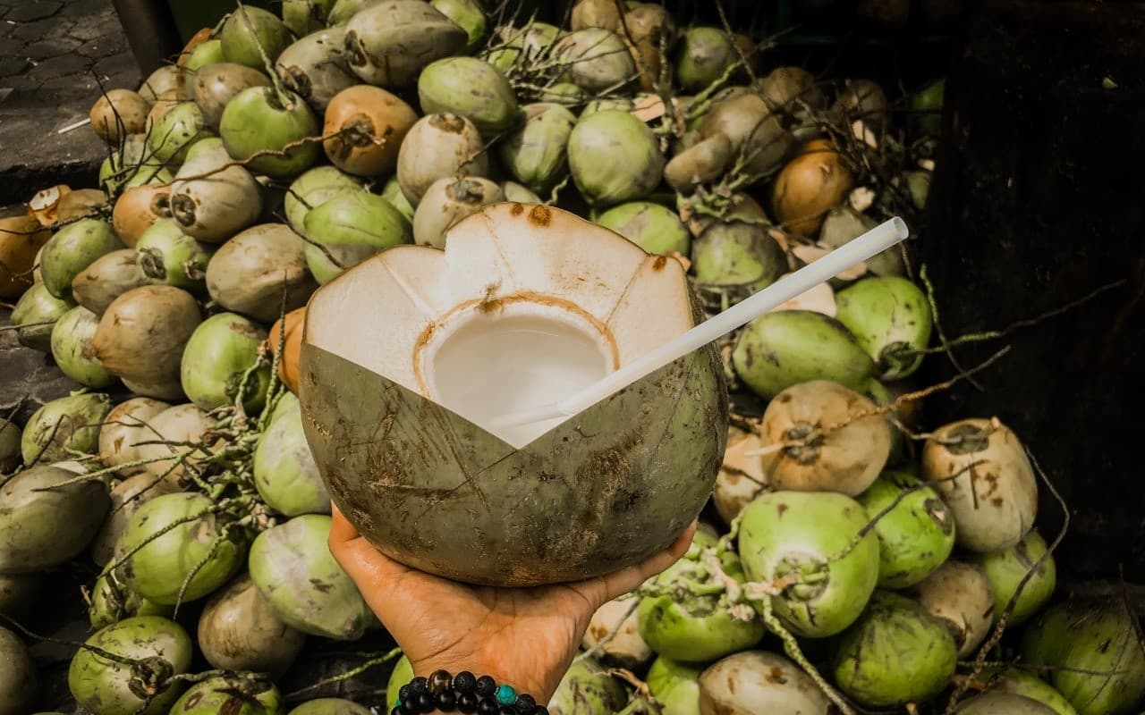 बिहार में डेंगू को लेकर महंगा हुआ नारियल पानी और कीवी फल, इन जिलों में बढ़ रहे डेंगू के मरीज