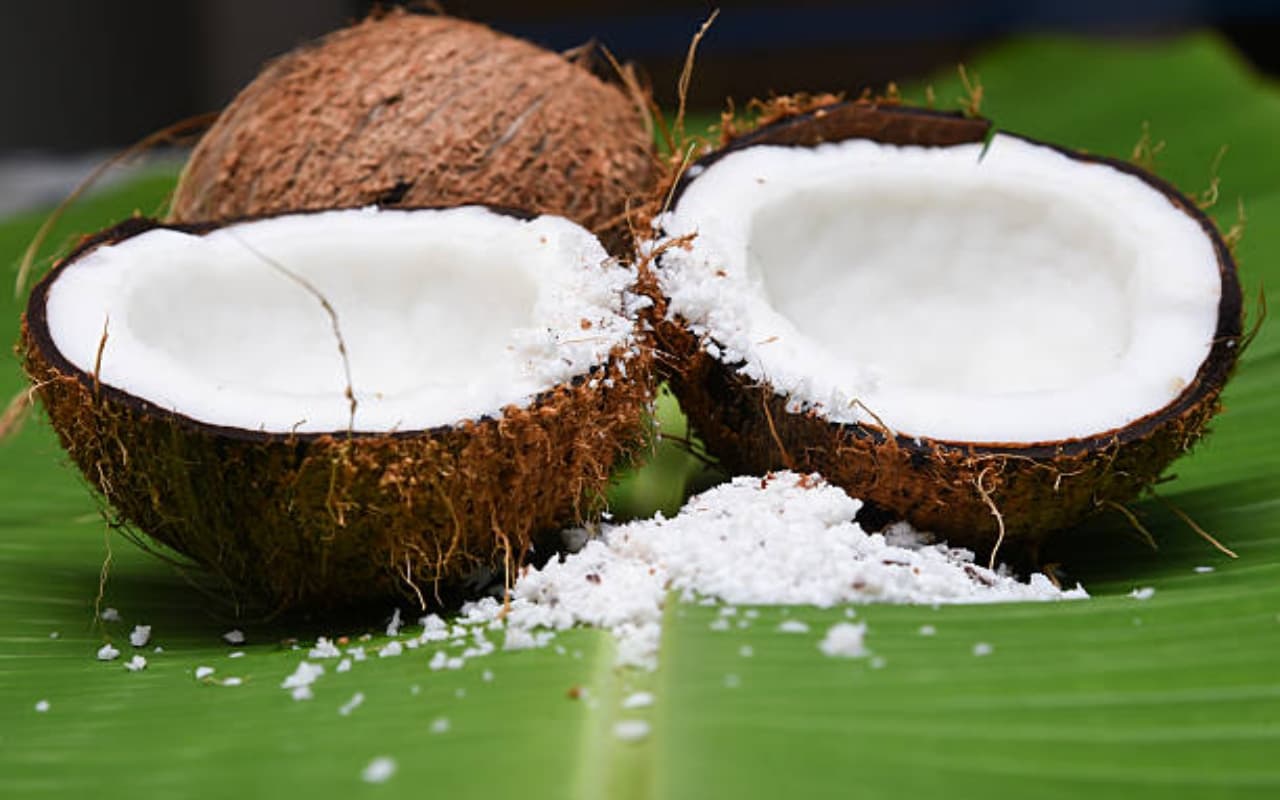 World Coconut Day 2023 :  जानिए क्या है इसे मनाने का महत्व