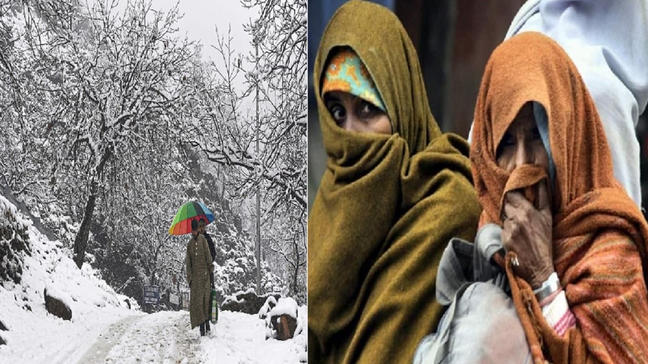 EXPLAINER: बिहार में ठंड के मौसम में बारिश क्यों होगी? शीतलहर से सेहत और किसानों पर क्या पड़ेगा असर, जानिए..