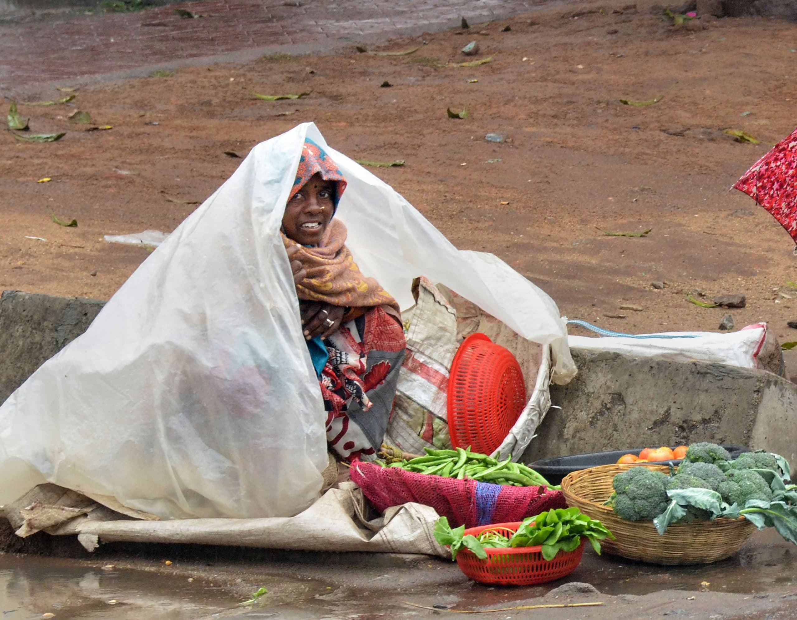 Weather Forecast: पहाड़ों पर बर्फबारी और मैदानी इलाकों में बारिश की वजह से ठंड बढ़ेगी, जानें आज का मौसम