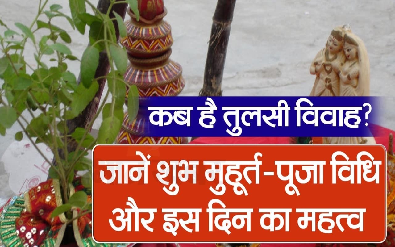 VIDEO: तुलसी की पूजा से घर में आती है सुख-समृद्धि , जानें  कब है तुलसी विवाह शुभ मुहूर्त-पूजा विधि