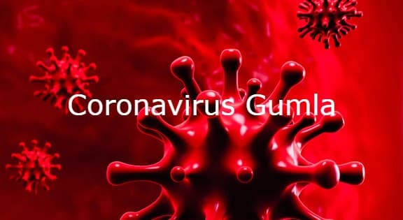 पटना में फिर डराने लगा कोरोना, राजधानी में 202 मिले नये संक्रमित, एक्टिव मरीजों की संख्या बढ़कर हुए 1360