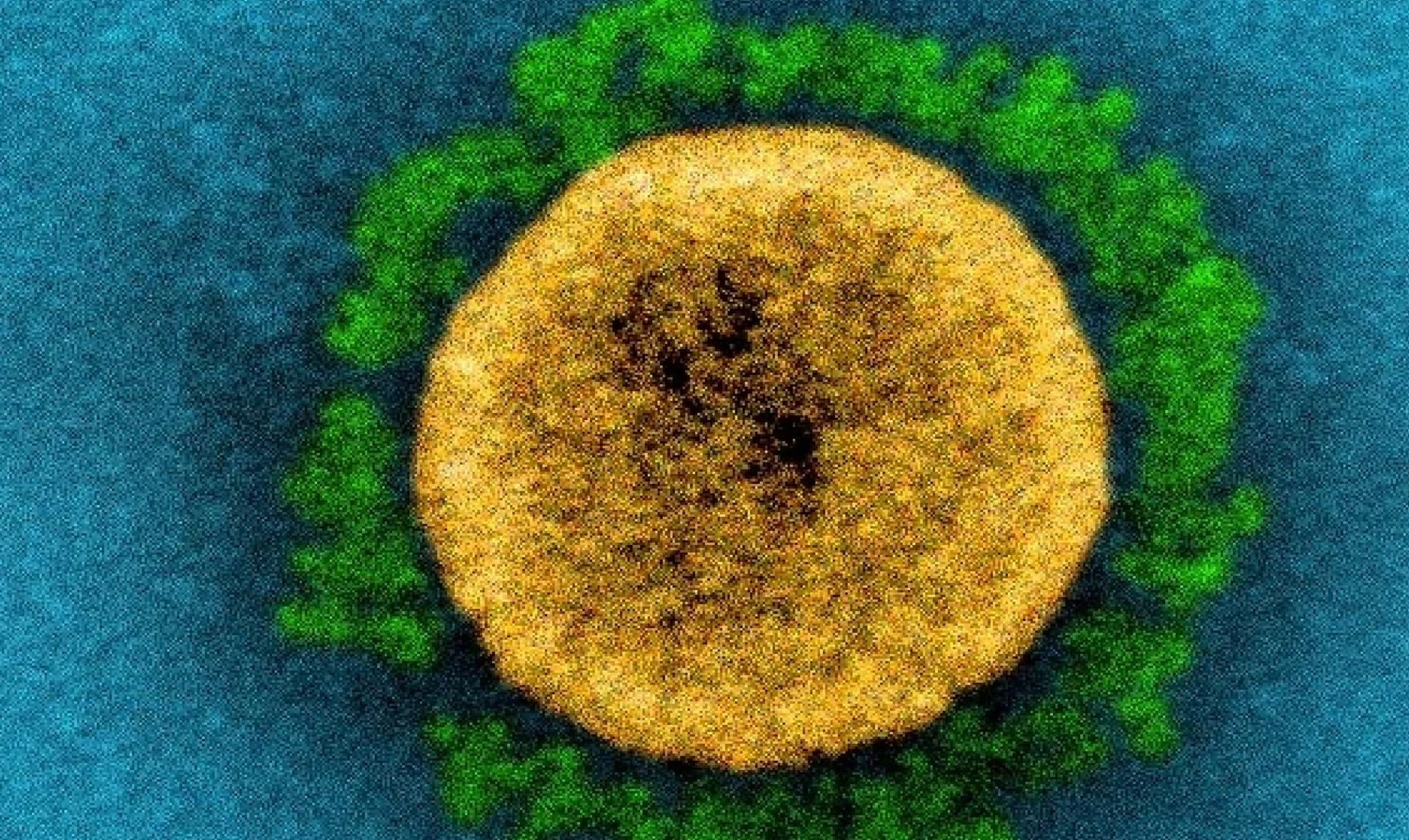 अब दुनिया के 30 से ज्यादा देशों में कोरोना के नये वेरिएंट का खतरा, कितना है खतरा