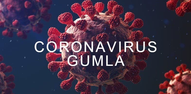 घाघरा प्रखंड के तुसगांव की कहानी : गांव में एक भी कोरोना संक्रमित नहीं, बचने के लिए कर रहे हैं ये काम