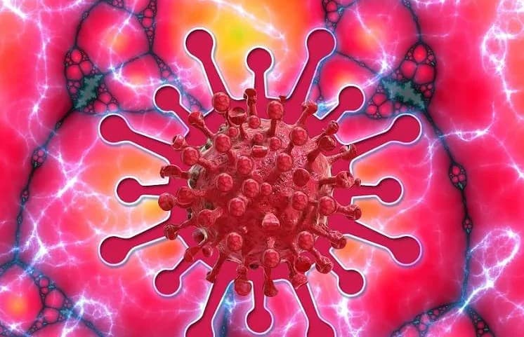 एक दिन में कोरोना संक्रमण के 2,954 नये मामले सामने आये, 56 लोगों ने गंवायी जान