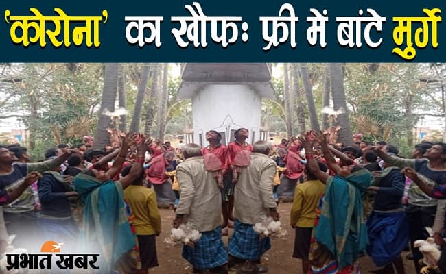 बिहार के अरवल में कोरोना वायरस के खौफ में फ्री में बांटें हजारों मुर्गे