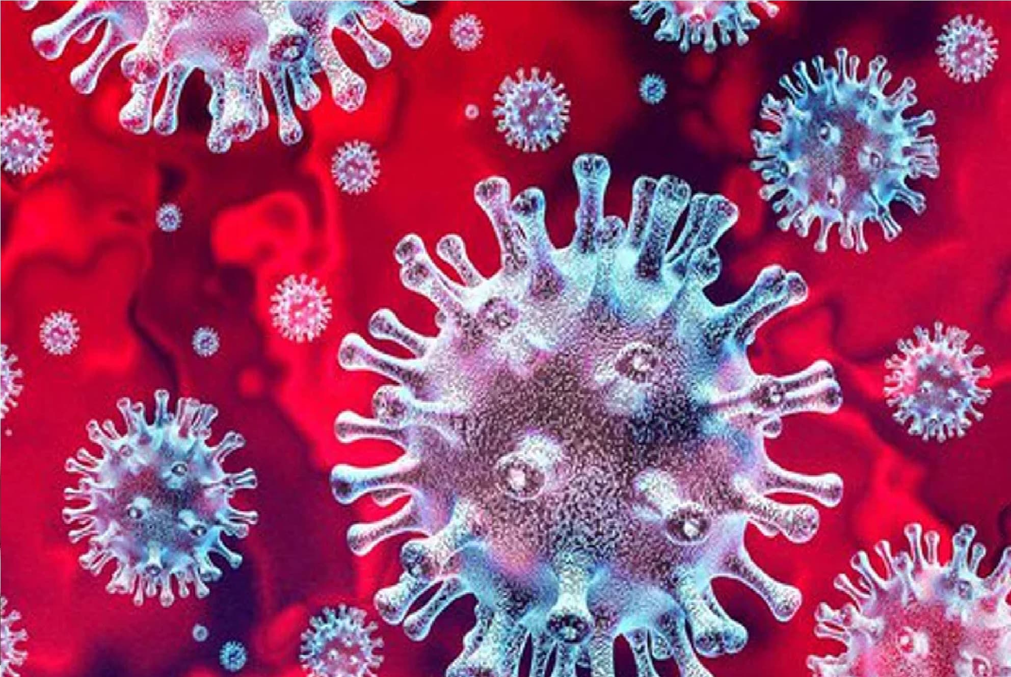 Jharkhand Coronavirus Update : झारखंड में विकराल रूप ले रहा कोरोना, रांची के स्कूल के बच्चे भी आए कोरोना के गिरफ्त में, कई स्कूलों में बंद हुई ऑफलाइन कक्षाएं